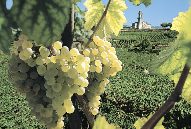 Beade ist einer der ersten Weinberge Galiciens, die von den Römern angelegt wurden