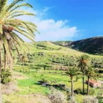Tropische Landschaft mit Palmen um La Hayas auf La Gomera, Spanien
