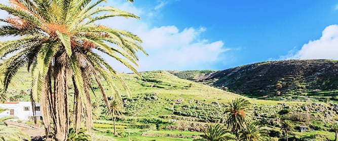 Tropische Landschaft mit Palmen um La Hayas auf La Gomera, Spanien