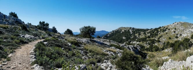 Schmaler Bergpfad in leicht gebirgiger Umgebung, blauer Himmel