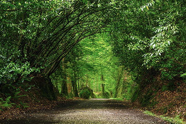 Der Naturpark Señorio de Bertiz in Navarra