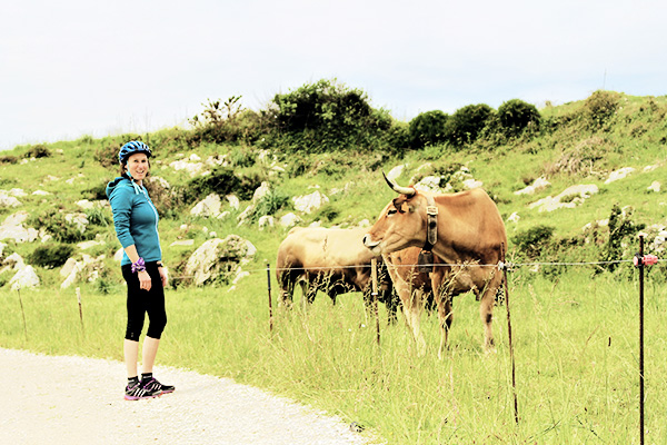 Radfahrerin mit Helm vor einer Wiese mit Kühen auf der Senda Costera in Asturien in Spanien