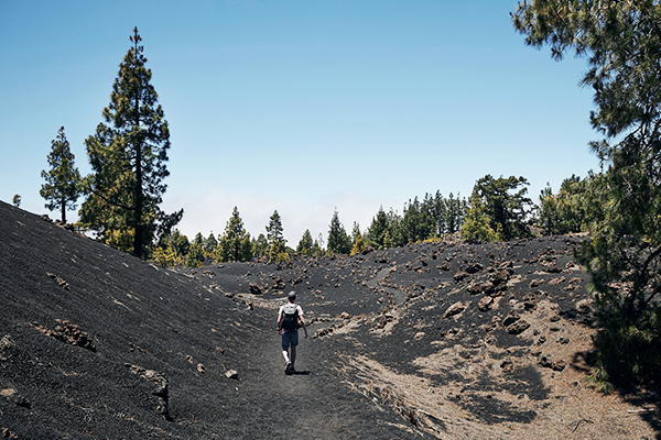 Wandern beim Chinyero Vulkan auf Teneriffa