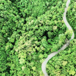 Blick von oben auf ein Auto auf einer kurvenreichen Straße durch den Wald
