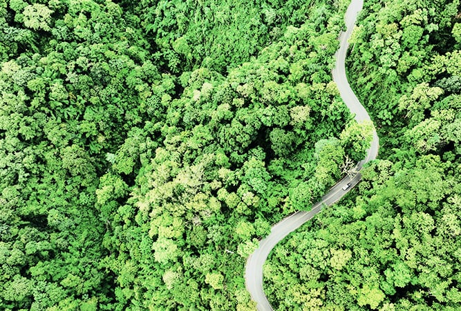 Blick von oben auf ein Auto auf einer kurvenreichen Straße durch den Wald