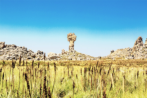 Wiese mit dem Maltese Cross in den Cederbergen in Südafrika