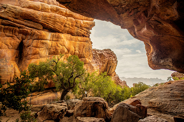 Felsformationen am Cederberg