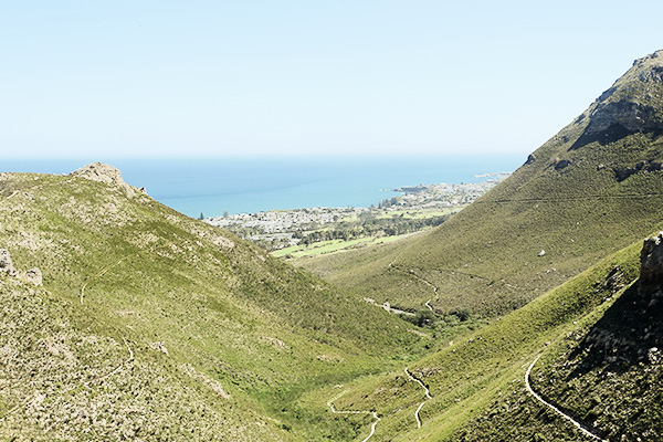 Blick auf grüne Hügel und Hermanus vom Fernkloof Nature Reserve in Südafrika