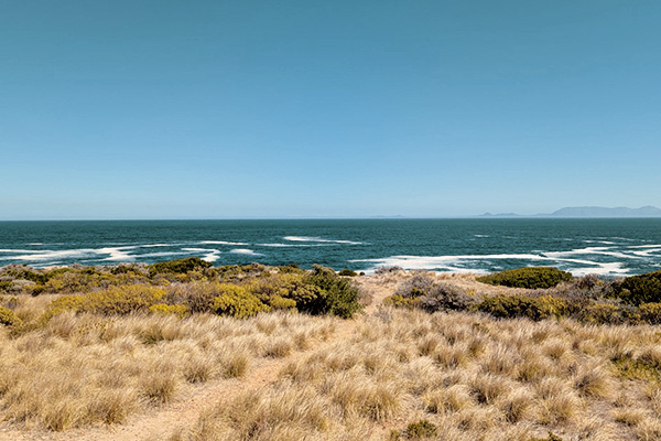 Küstenstraße nach Hermanus