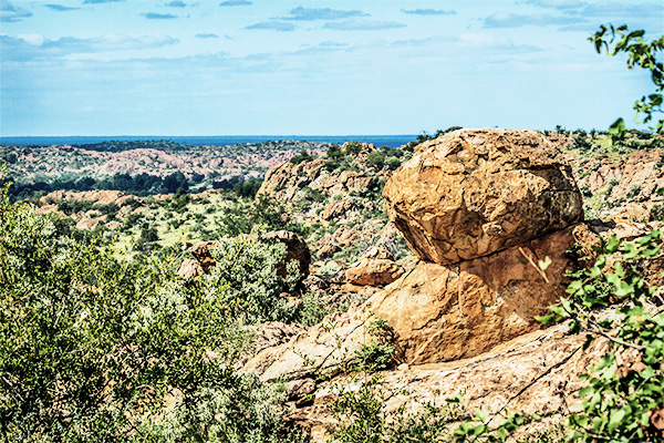 Ockerfarbene Steinformation mit grünen Gräsern im Mapungubwe Nationalpark