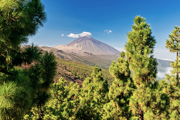 Nationalpark Teide