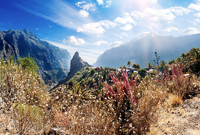 Masca Schlucht, Teneriffa