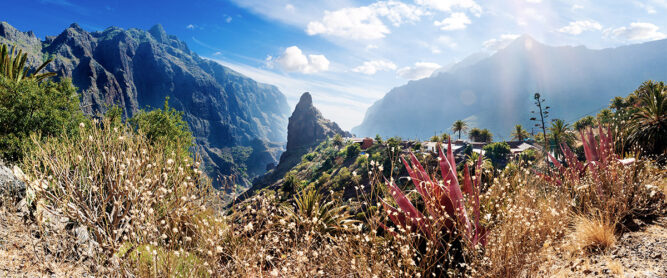 Masca Schlucht, Teneriffa