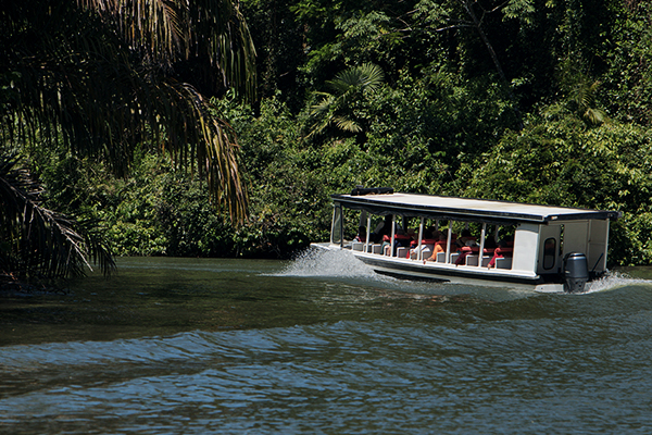 Taxiboot nach Tortuguero