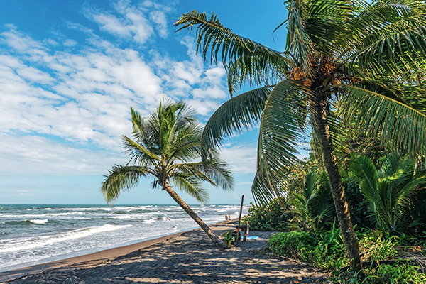 Palmenstrand in Tortuguero