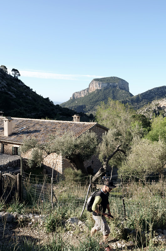 Wanderer geht nach rechts an einem Zaun entlang, im Hintergrund eine Hütte inmitten von Olivenbäumen