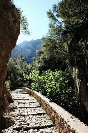 Treppenweg gepflastert, GR221 Mallorca