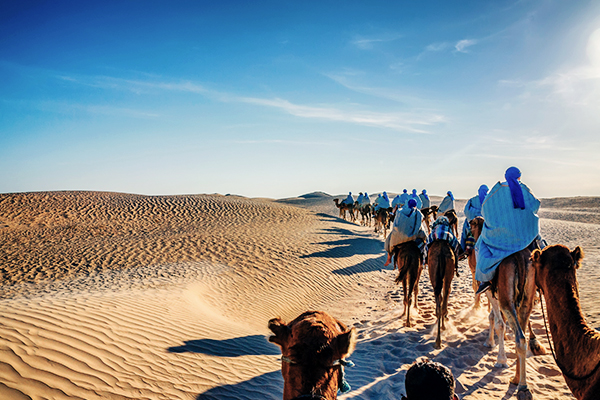 Eine Karawane mit Kamelen in der Sahara Tunesiens