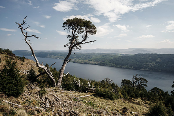 Aussicht auf den See Loch Ness