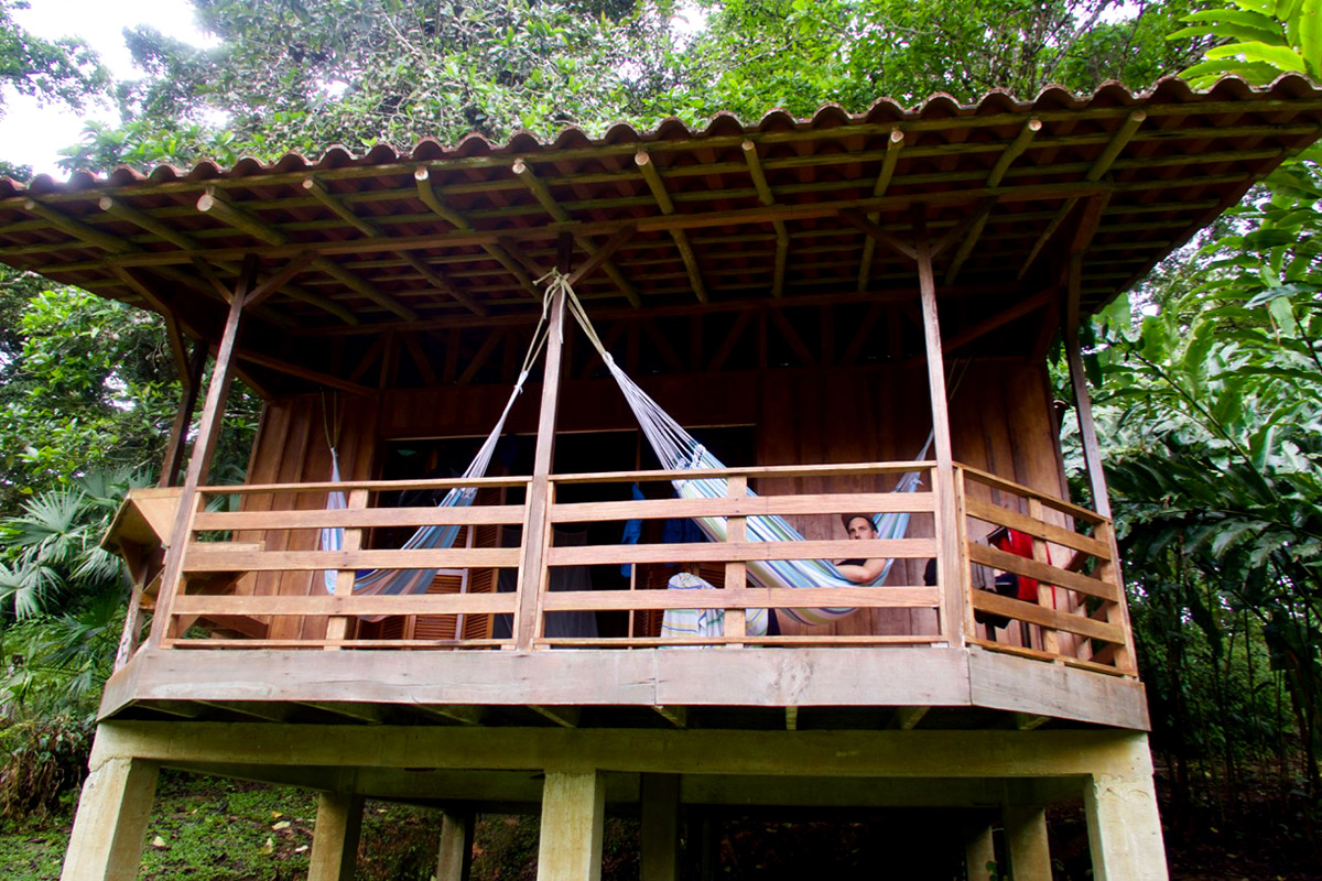 Die Aussicht auf den Regenwald in der Selva Bananito Lodge genießen