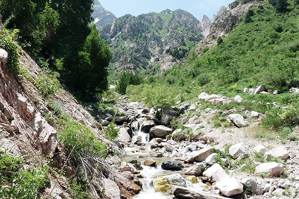 Fluss durch eine felsige Schlucht im Tian Shan Gebirge in Usbekistan