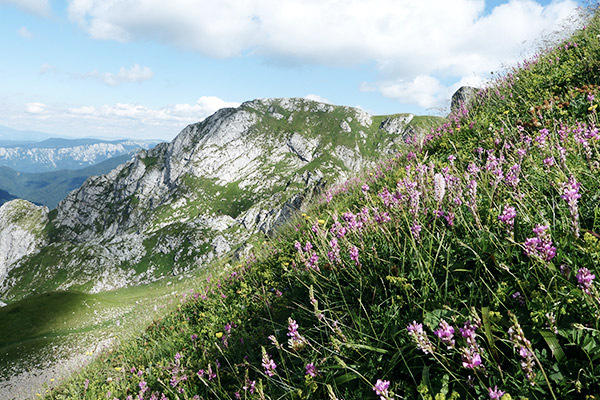 Blumen Via Dinarica, Bosnien