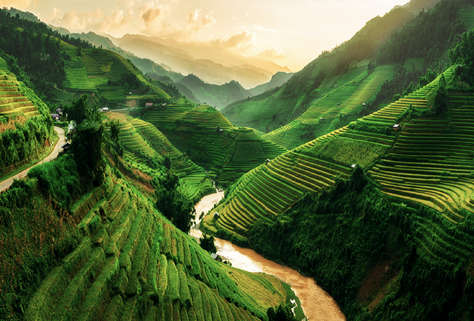 Die Berge und Reisfelder von Mu Cang Chai