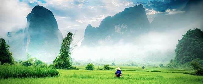 Reisfelder in Cao Bang
