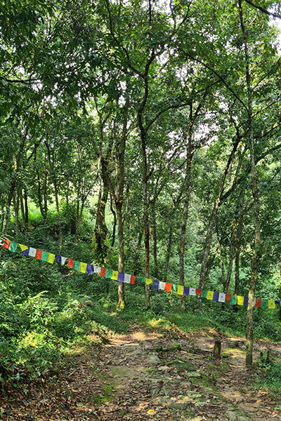 Gebetsfahnen im Wald in Pokhara, Nepal
