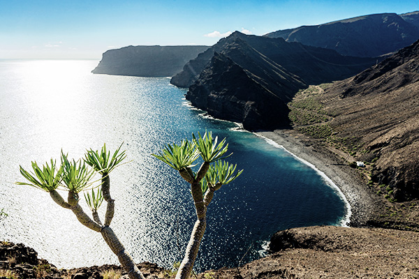 Ausblick auf das glitzernde Meer