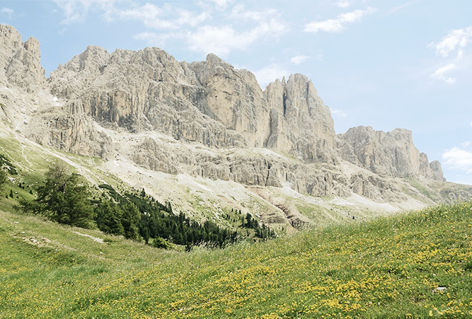 Rosengarten in den Dolomiten