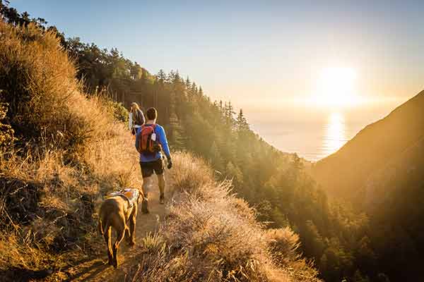 Wandern mit Hund bei Sonnenuntergang