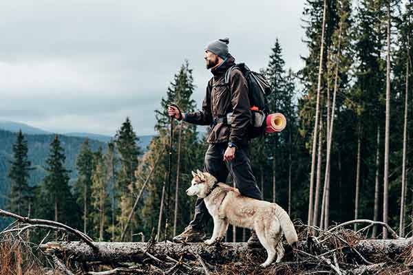 Wanderer mit sibirischem Husky