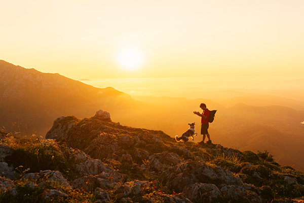 Hund springt auf dem Felsen hoch vor Bergkulisse bei Sonnenuntergang