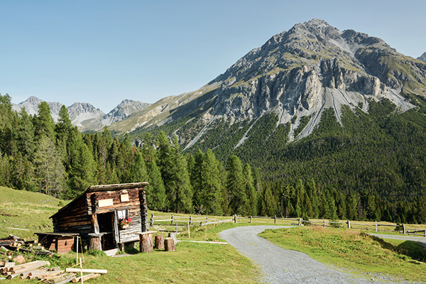 Wanderweg im Schweizerischen Nationalpark