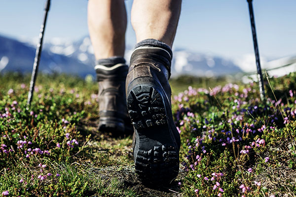 wanderweg-wanderschuhe-blumen-berge