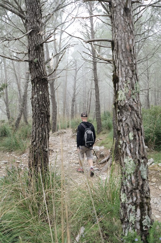 Wanderer in einem nebeligen Wald