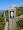 Zeichen des Pembrokeshire Coast Path