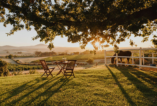 Gartentisch mit Wein vor einem Sonnenuntergang in Südafrika
