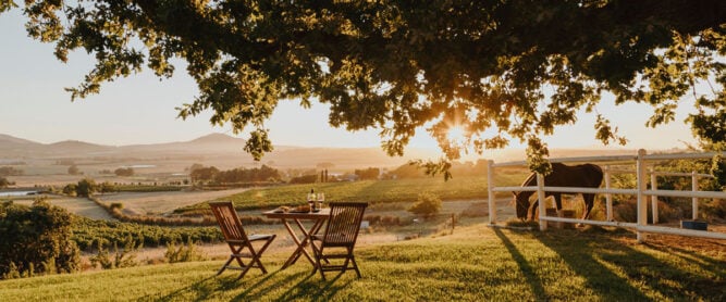 Abends bei einer Weinreise in Südafrika: Ein Gartentisch mit Wein vor einem Sonnenuntergang.