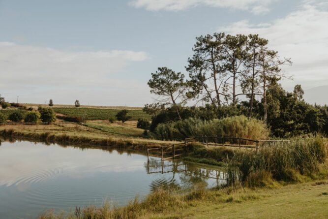 kleiner Teich in der Natur Südafrikas