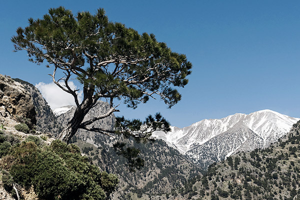 Weiße Berge, Kreta