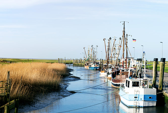 Landschaft bei Cuxhaven am Weser Radweg