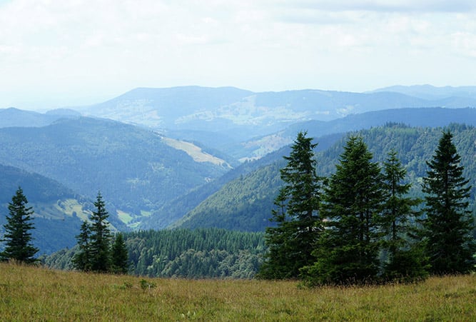 Aussicht vom Westweg mit Berg Belchen im Hintergrund