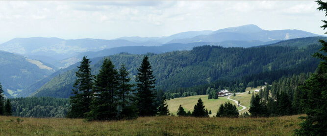 Aussicht vom Westweg mit Berg Belchen im Hintergrund