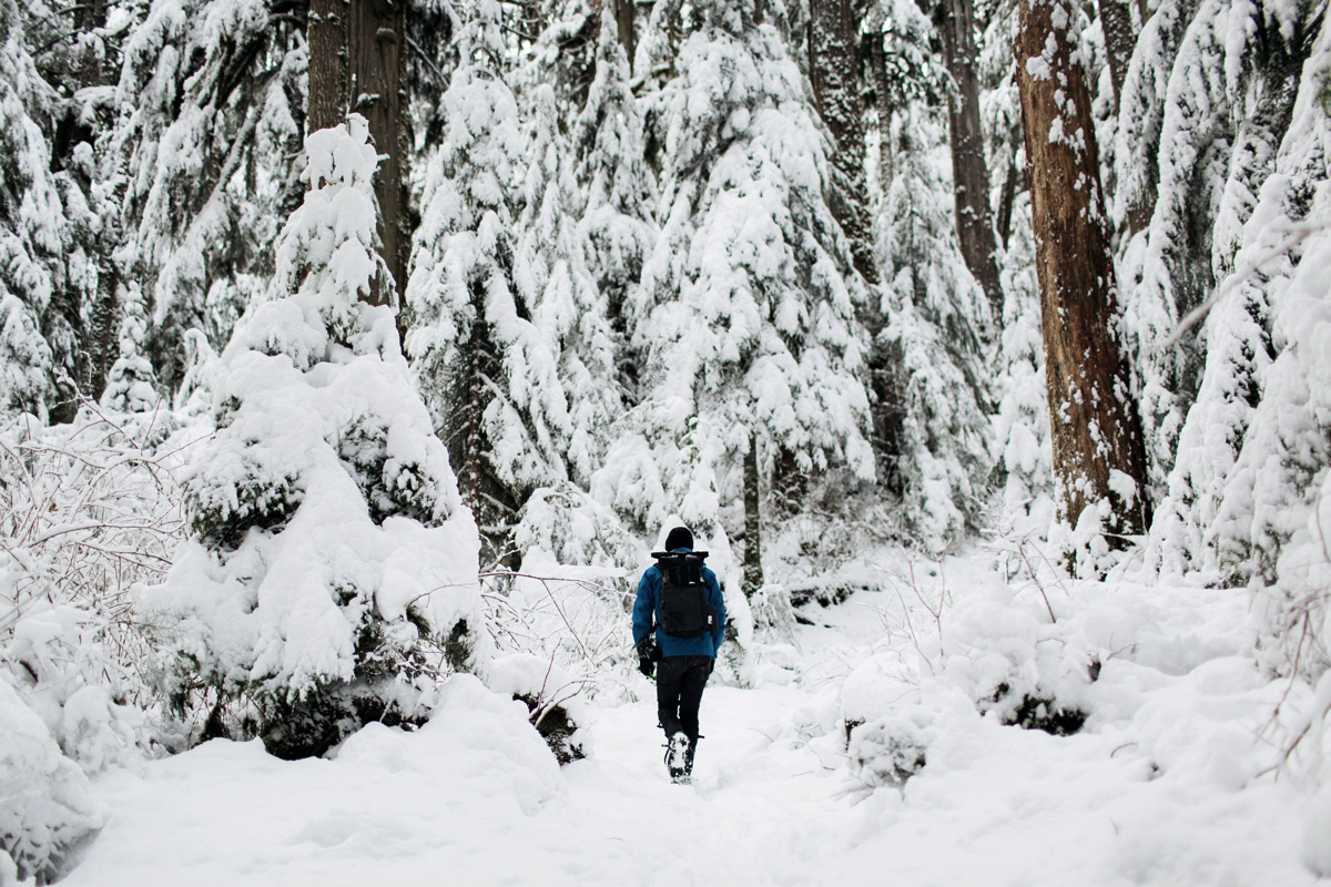 Winterwanderer im verschneiten Wald