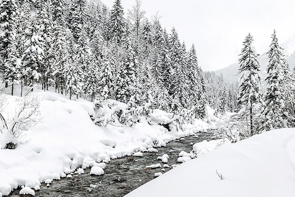 Bach fliesst durch Winterwald, Lechweg Oesterreich