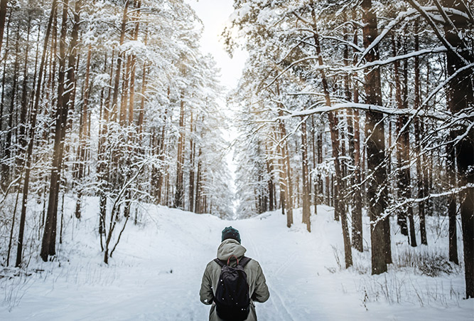 Ein Wanderer steht vor verschneitem Waldpfad