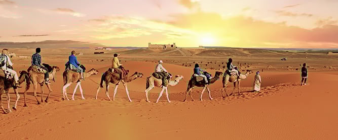 Wüstentrekking in der Sahara