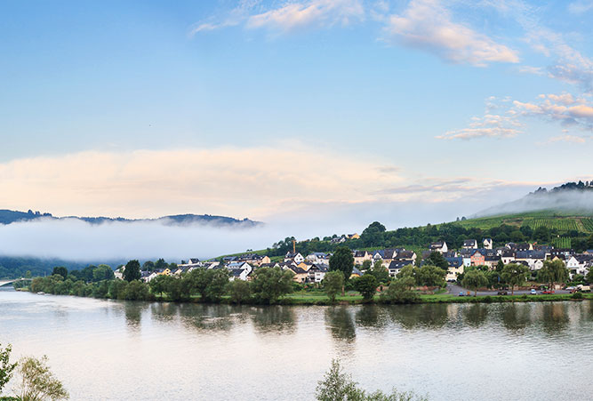 Zell an der Mosel